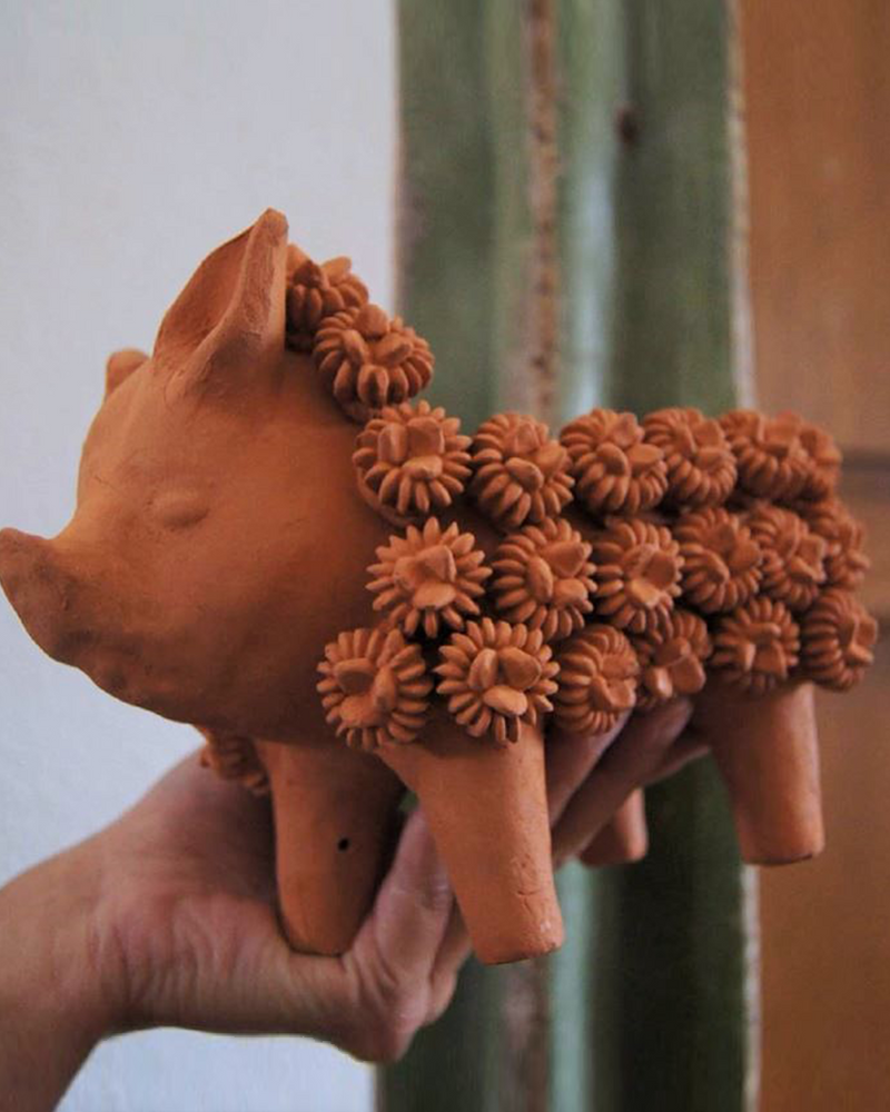Maceta Pig